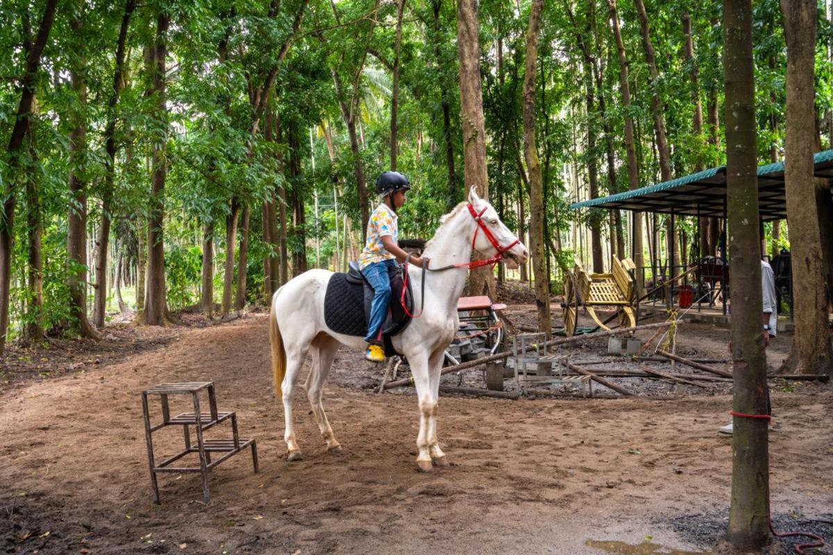 Nallepilli Thanima Farmlife Experiential Farm Tourism מראה חיצוני תמונה